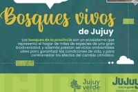 Bosques Vivos de Jujuy: se abre el concurso de fotografía ambiental del año