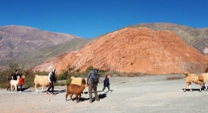 Fondo para auxiliar a la MiPymes del sector tur&iacute;stico