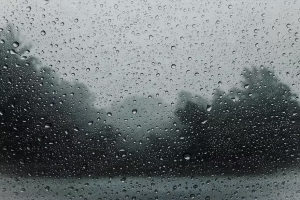 Destacado accionar del COE Municipal ante situaciones de lluvia y tormenta