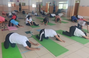 Talleres de yoga, pausa activa y entornos saludables