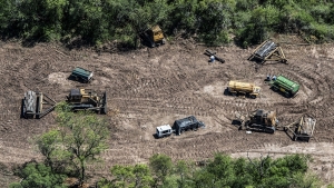En 20 a&ntilde;os, Argentina perdi&oacute; 438 mil hect&aacute;reas de bosque primario h&uacute;medo