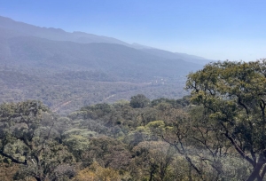 Jujuy dise&ntilde;a la primera Estrategia Provincial de Biodiversidad