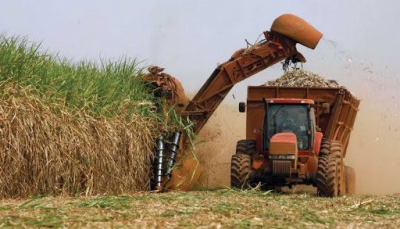 Biocombustibles . Jujuy apoya el Plan de recomposici&oacute;n de precios