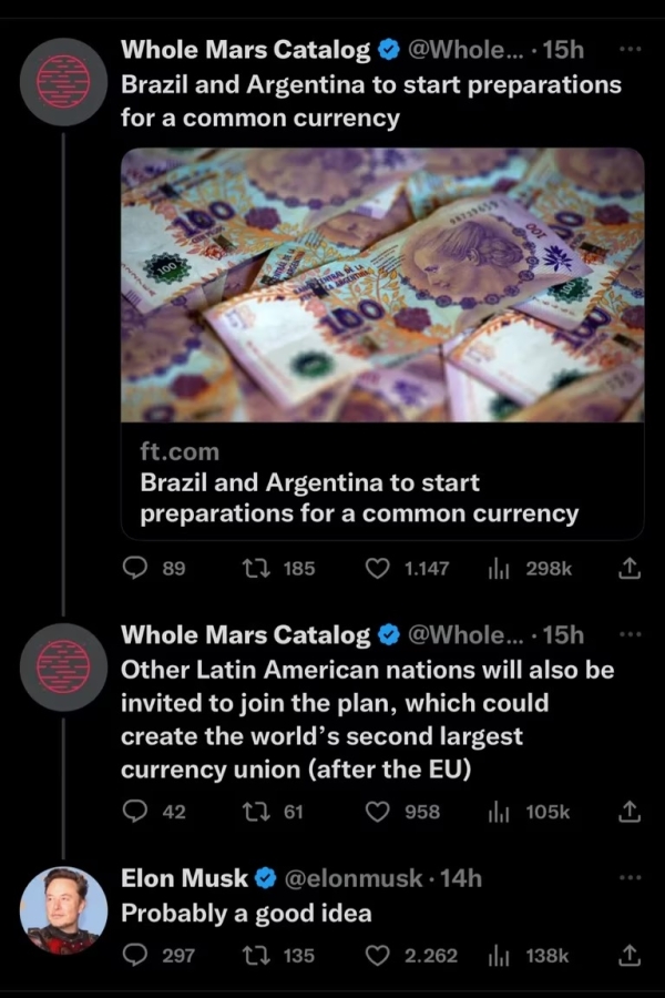 Elon Musk celebr&oacute; la idea de que Argentina y Brasil tengan una moneda en com&uacute;n