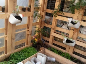 Huertas agrecol&oacute;gicas como terapia para personas en situaci&oacute;n de calle