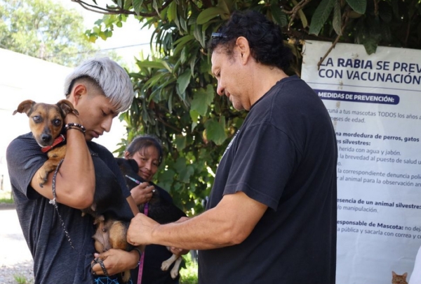 Jujuy permanece libre de rabia humana desde 2008