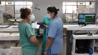 Murieron 28 personas y se registraron 1.271 nuevos contagios de coronavirus en el pa&iacute;s