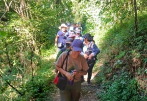 Caminata ecosaludable en el Parque Bot&aacute;nico
