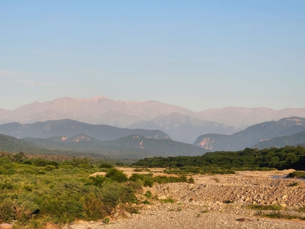 Proyectoi Vinalito. Tecnolog&iacute;a para preservar bosques y comunidades rurales