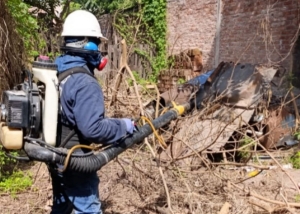 Refuerzan prevenci&oacute;n. Se registran 9 casos Chikungunya en Jujuy