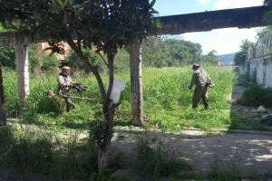 El municipio capitalino realiza intensas labores de poda y desmalezado