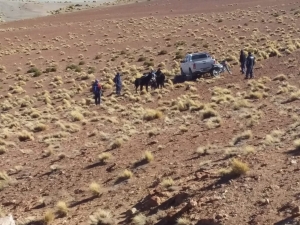 Decomisan cueros de vicu&ntilde;a