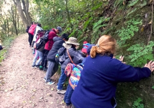 Mes de las Altas Capacidades en el Parque Bot&aacute;nico Municipal