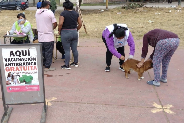 Vacunaci&oacute;n antirr&aacute;bica gratuita en San Salvador de Jujuy: cronograma de la semana