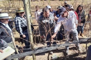 Capacitaci&oacute;n en viticultura de precisi&oacute;n