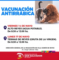 Vacunaci&oacute;n antirr&aacute;bica en Reyes