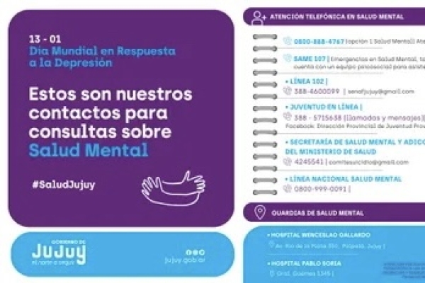 Hablemos de Depresi&oacute;n: Indicadores claves para reconocer el cuadro