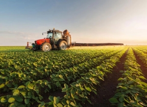 Productores de C&oacute;rdoba y Santa Fe analizan cortar las rutas contra las retenciones