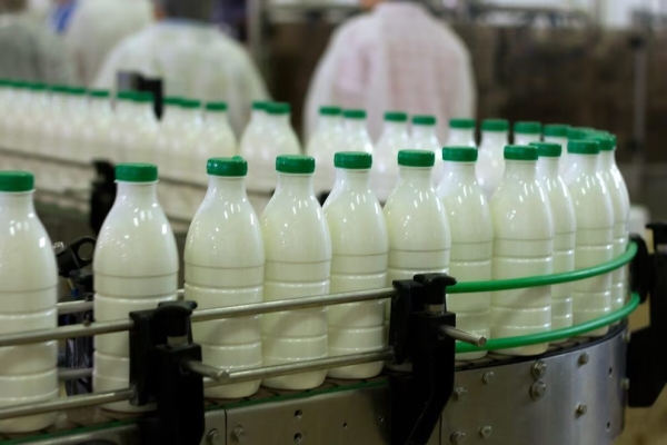 Con precios en d&oacute;lares en niveles m&aacute;ximos, el sector l&aacute;cteo se recuper&oacute; y creci&oacute; 11% en el &uacute;ltimo a&ntilde;o