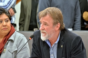 Rizzotti."Compensaci&oacute;n"tarifaria y"No" al veto a la movilidad jubilatoria