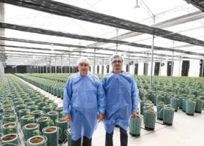 Nuevos Invernaderos para producir Cannabis Medicinal de la m&aacute;s alta calidad