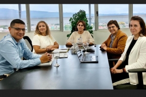 Implementaci&oacute;n del sistema de Gesti&oacute;n Documental Electr&oacute;nica