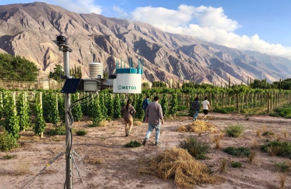 Jujuy  presenta una innovadora Red Agroclim&aacute;tica para una vitivinicultura de precisi&oacute;n