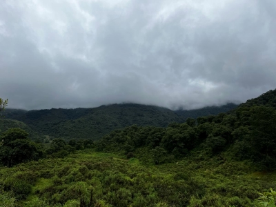 Destacan a Jujuy en protecci&oacute;n de bosques nativos