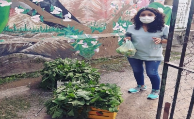 Donan verduras org&aacute;nicas de huerta municipal