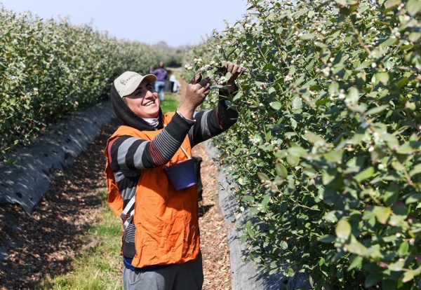 Rurales. Pagos prestaci&oacute;n por desempleo del 5 al 23 de junio