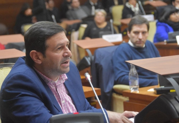 "Los libertarios quieren desestabilizar al gobierno y la paz social"