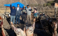 Sadir destac&oacute; el trabajo de las comunidades productoras de yac&oacute;n