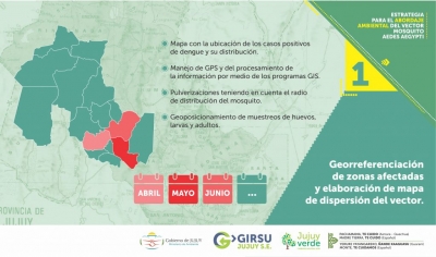 Fijan una estrategia ambiental contra el aedes aegypt