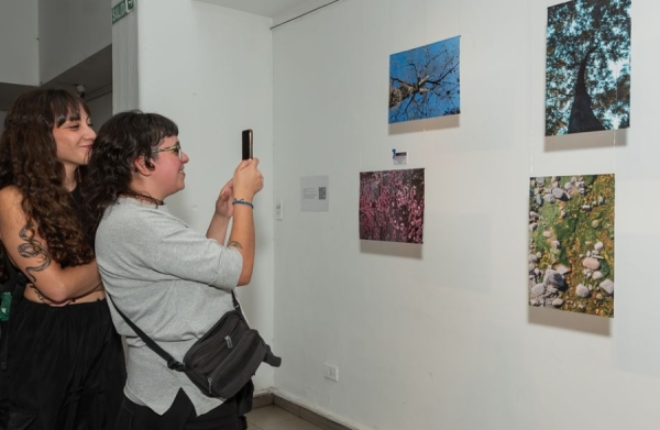 Los centros culturales de Jujuy presentan su programaci&oacute;n