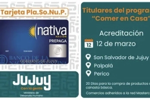 Asistencia Directa: Acreditaci&oacute;n de la Tarjeta PLASONUP-NATIVA