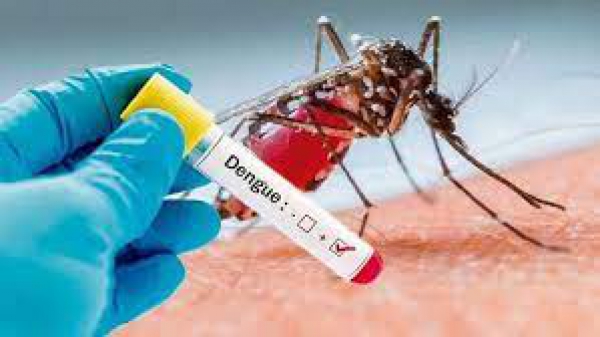 Jujuy registr&oacute; en la &uacute;ltima semana 44 nuevos casos de dengue
