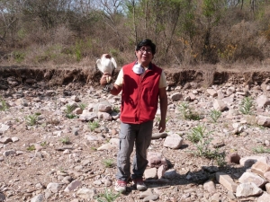 Liberan ejemplar de &aacute;guila viuda