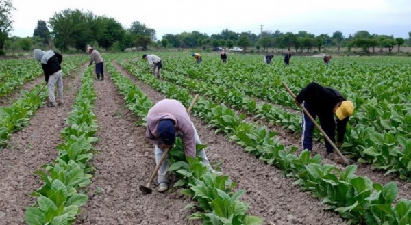 FET: se desembolsaron casi $500 millones para Jujuy