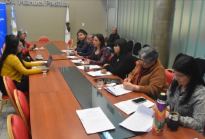 Diputados. Avanza actualizaci&oacute;n de la ley de trabajadores sociales