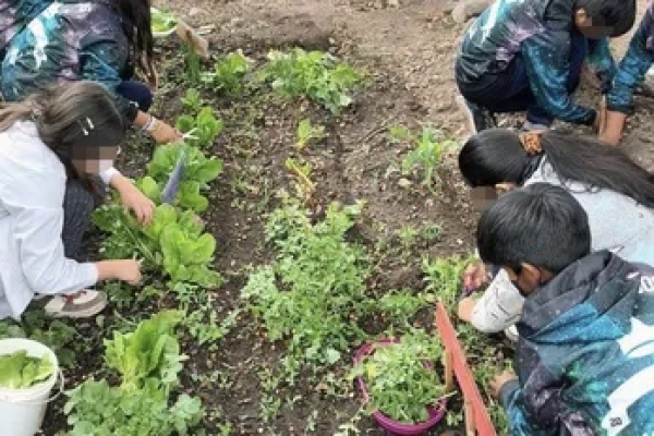 Contin&uacute;an los talleres de huertas en la escuela Macedonio Graz