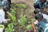 Contin&uacute;an los talleres de huertas en la escuela Macedonio Graz