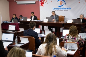 Sesionaron concejales Subsido al transporte y pedido a legisladores en la agenda