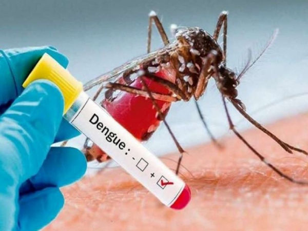 Ya son 169 las personas con dengue en Jujuy