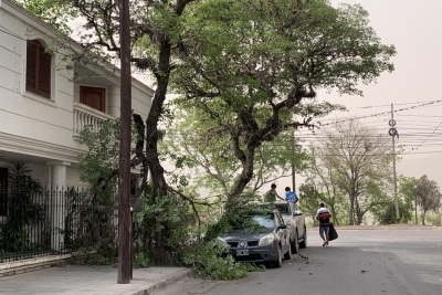 Repuesta municipal tras el temporal del d&iacute;a domingo en la ciudad