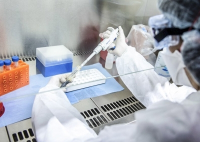 Jujuy report&oacute; 86 casos nuevos positivos de coronavirus