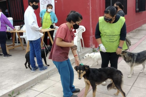 Vacunaci&oacute;n antirr&aacute;bica en barrio Chijra
