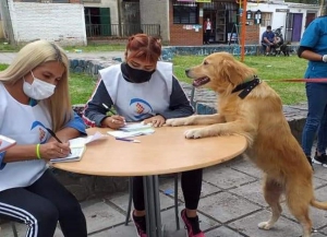 R&eacute;cord de mascotas vacunadas contra la rabia en Capital