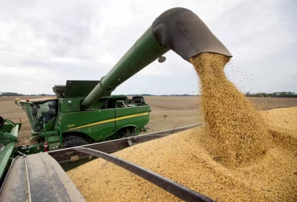 Aseguran que el nuevo d&oacute;lar soja no genera incentivos suficientes para que el productor liquide