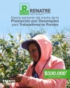 El RENATRE realizar&aacute; los pagos por prestaci&oacute;n por desempleo del 5 al 20 de noviembre