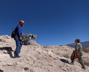 Hallaron restos f&oacute;siles de mam&iacute;feros en Humahuaca